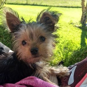 Meet your Posher, Deborah